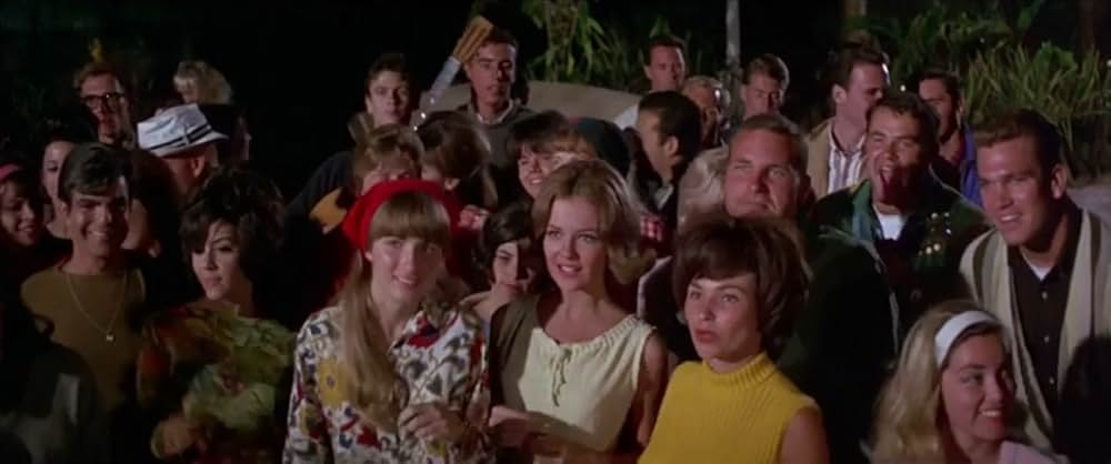 フロリダ万才の画像