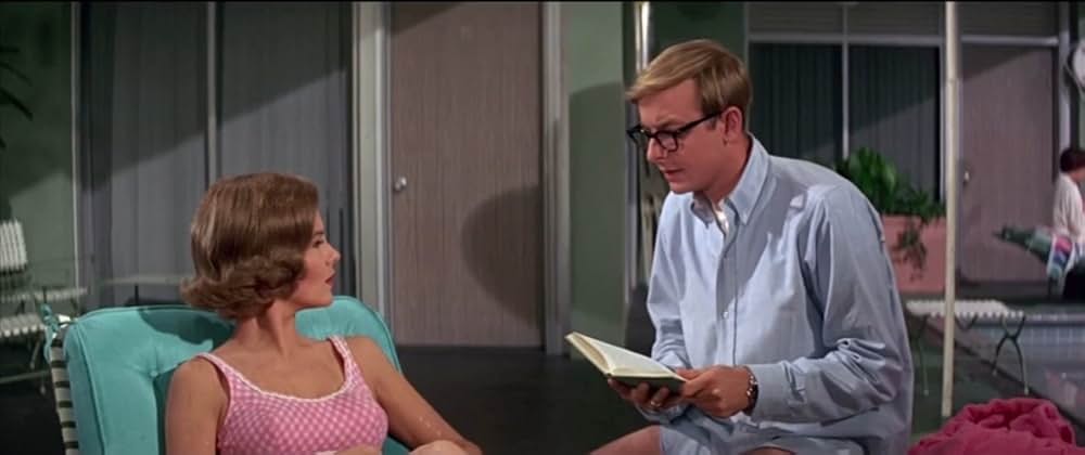 フロリダ万才の画像