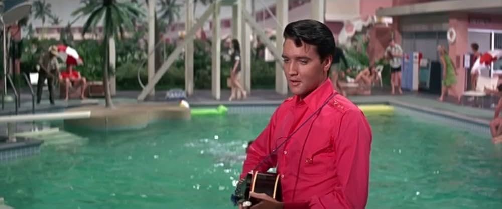 フロリダ万才の画像