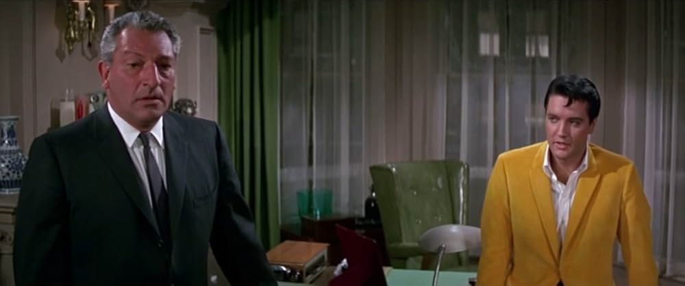 フロリダ万才の画像