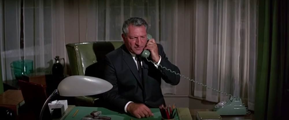 フロリダ万才の画像