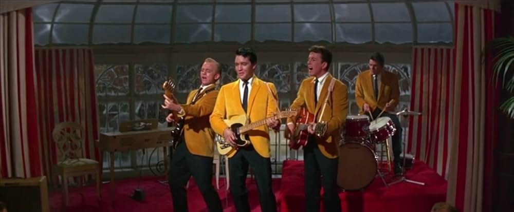 フロリダ万才の画像