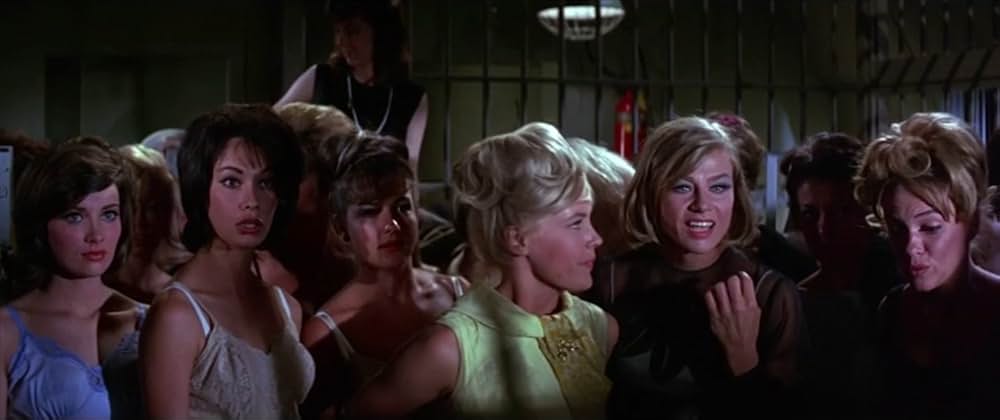 フロリダ万才の画像