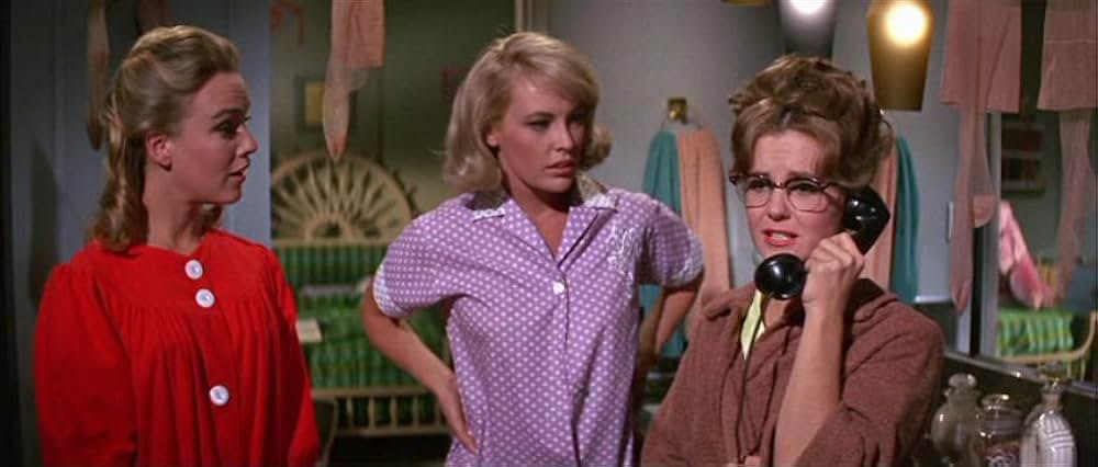 フロリダ万才の画像