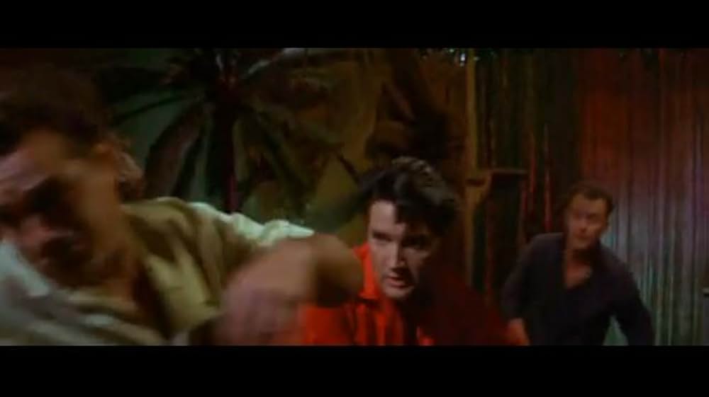 フロリダ万才の画像