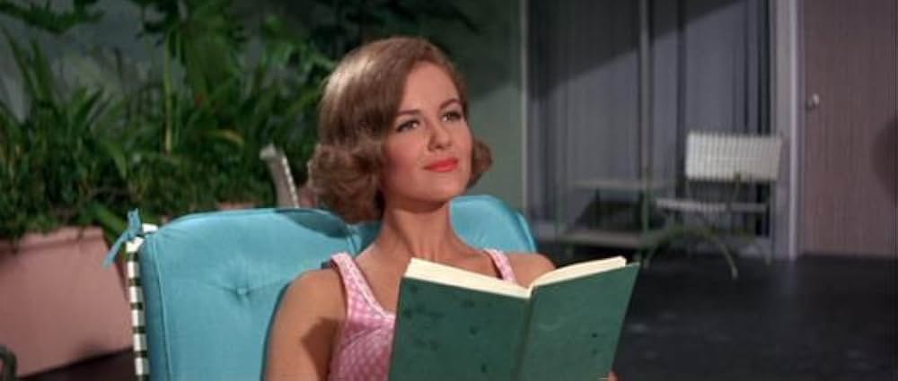 フロリダ万才の画像