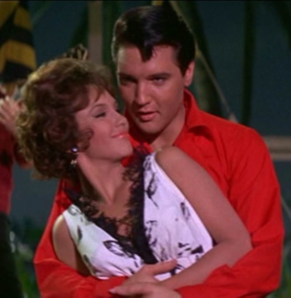 フロリダ万才の画像