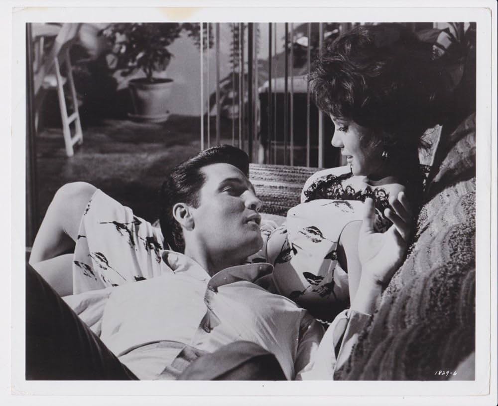 フロリダ万才の画像