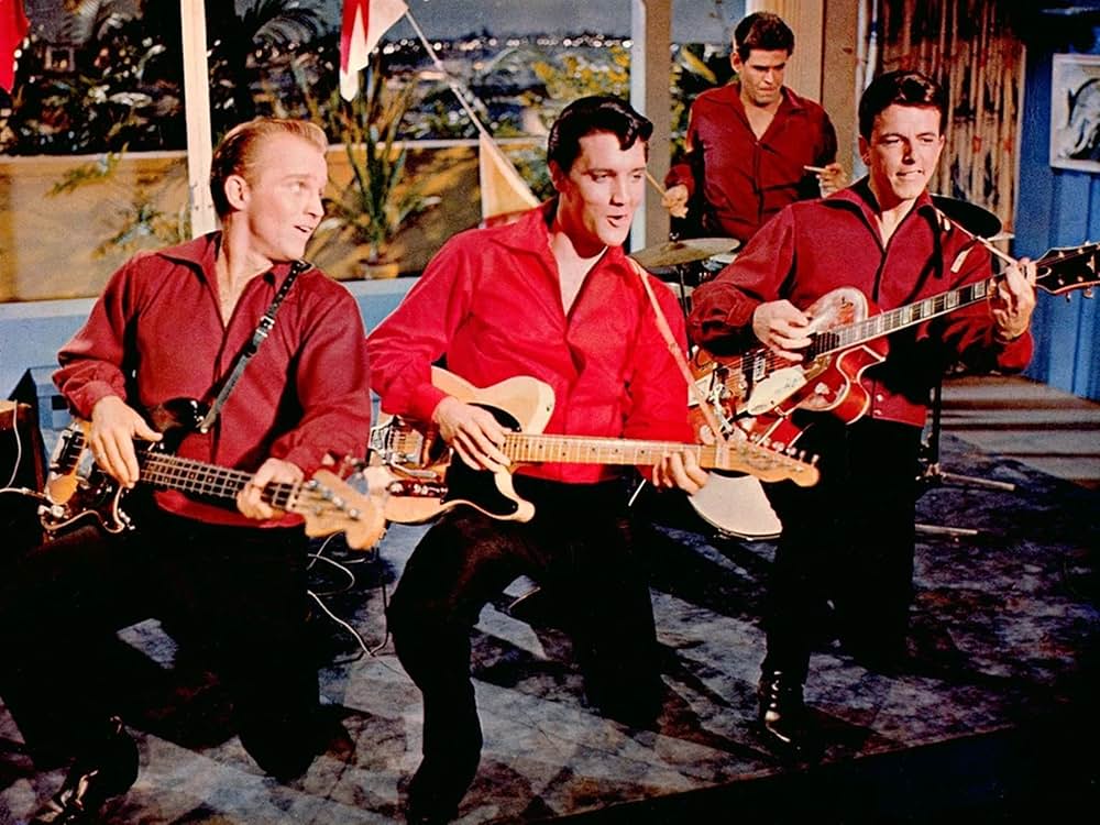 フロリダ万才の画像