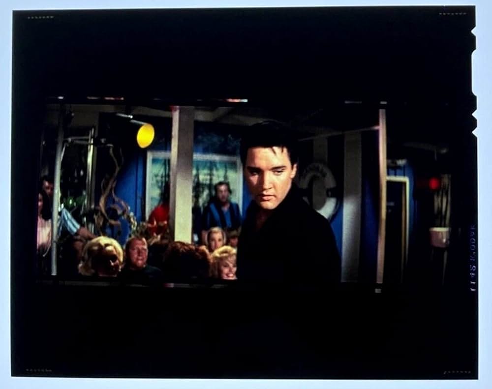 フロリダ万才の画像