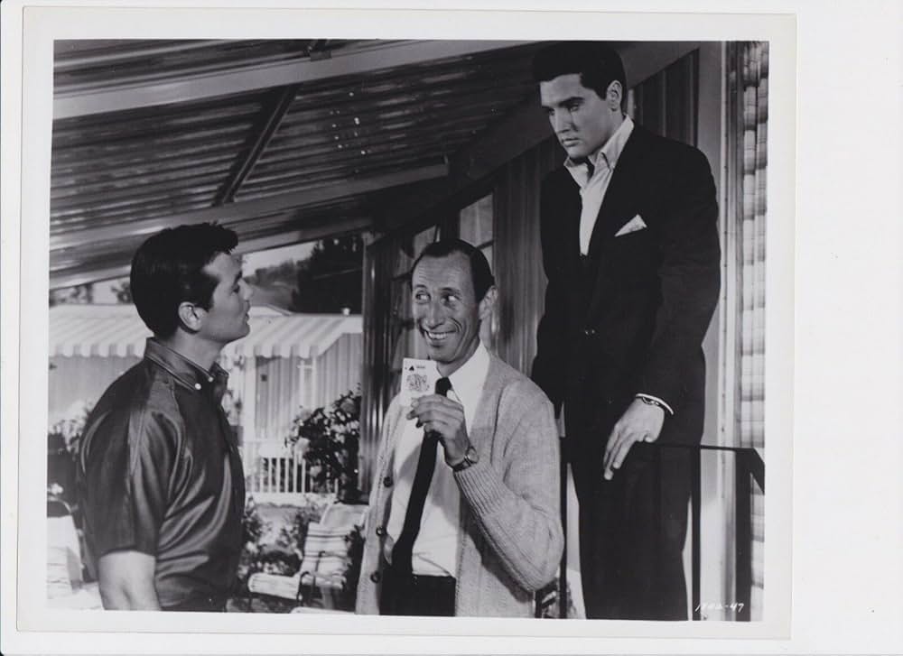 ヤング・ヤング・パレードの画像