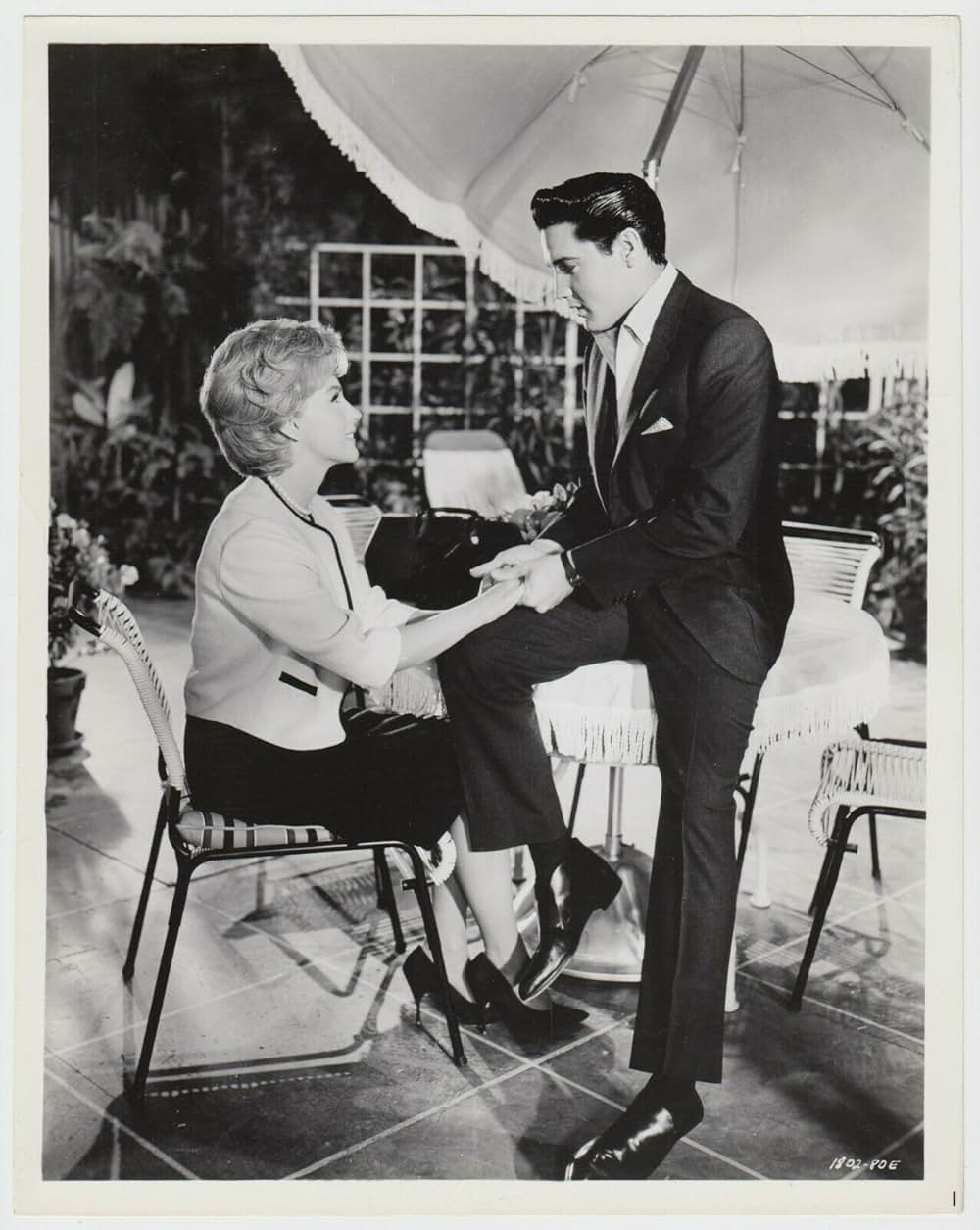 ヤング・ヤング・パレードの画像