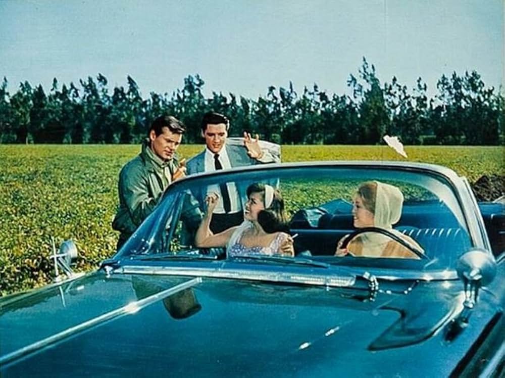 ヤング・ヤング・パレードの画像