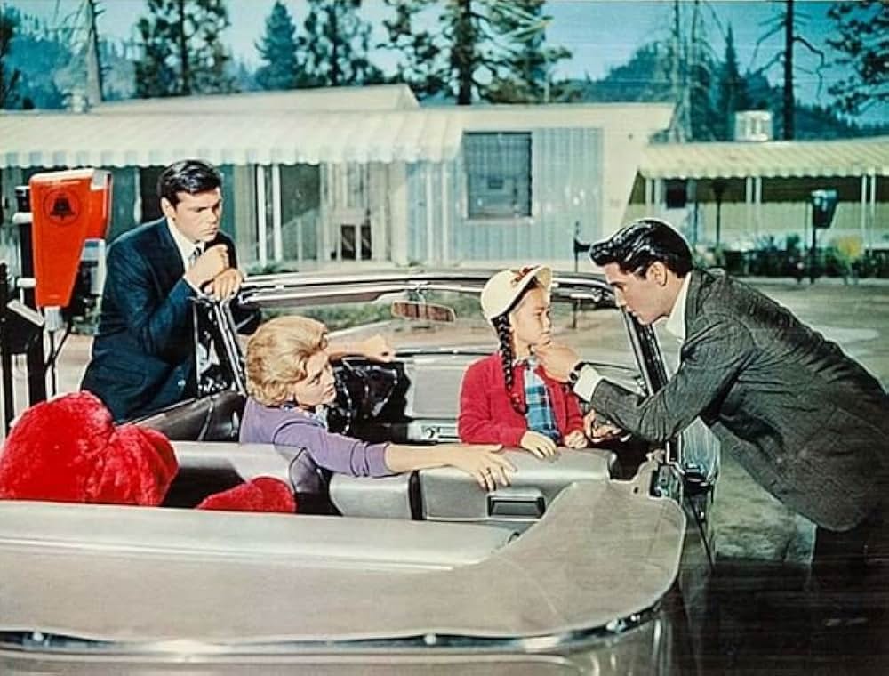 ヤング・ヤング・パレードの画像