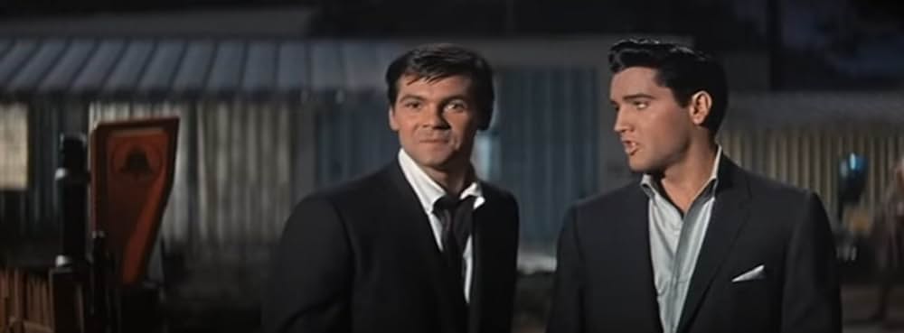 ヤング・ヤング・パレードの画像