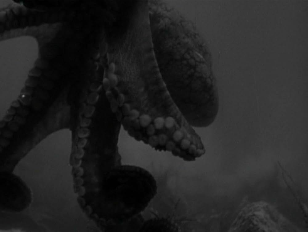 怪物の花嫁の画像