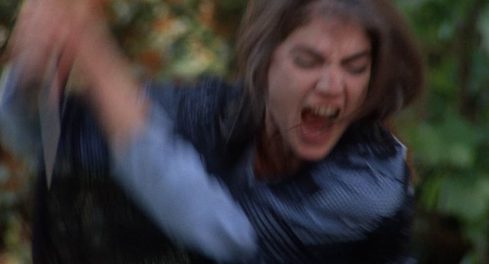 ブラッド・ハウス／恐怖がつきささるの画像