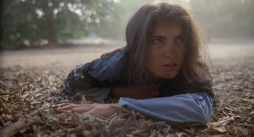 ブラッド・ハウス／恐怖がつきささるの画像