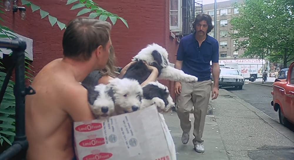 セルピコの画像