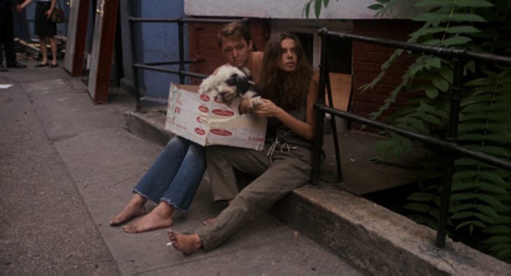 セルピコの画像