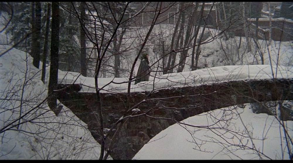 私を助けて／吹雪が恐怖を運んでくる・人妻監禁事件の画像