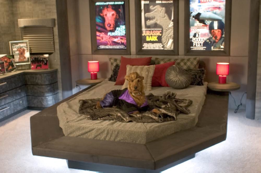 ファイアー・ドッグ 消防犬デューイの大冒険の画像