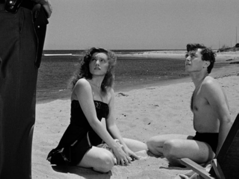 秘密調査員／秘密捜査官の画像