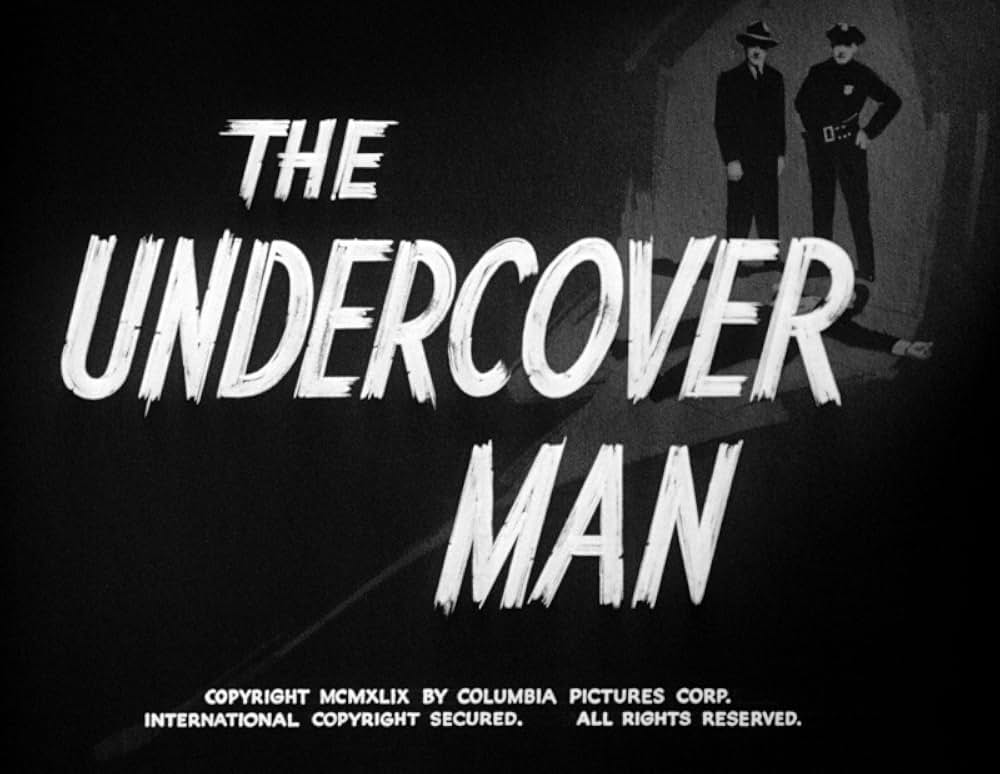 秘密調査員／秘密捜査官の画像