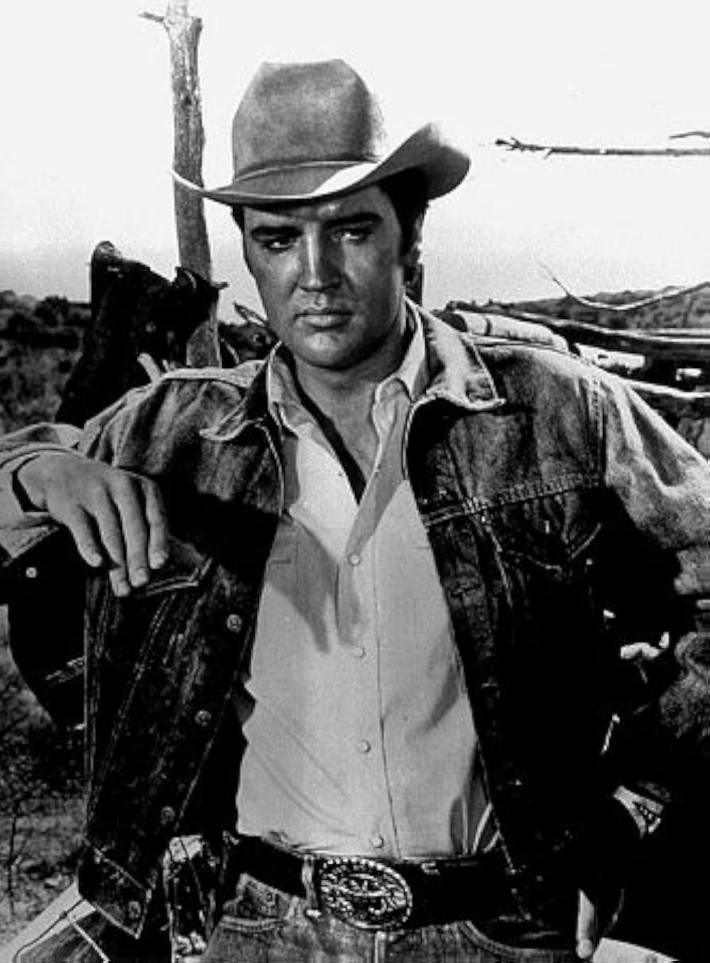 ステイ・アウェイ・ジョーの画像