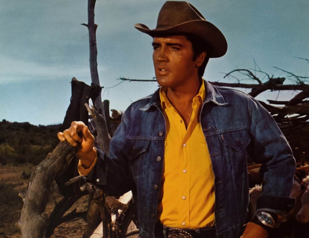 ステイ・アウェイ・ジョーの画像