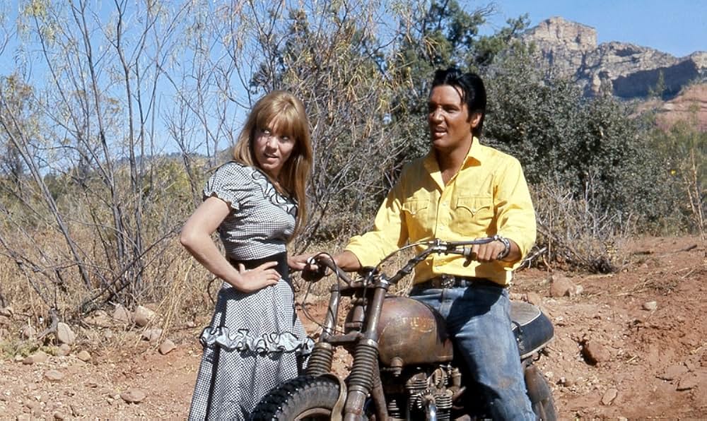 ステイ・アウェイ・ジョーの画像