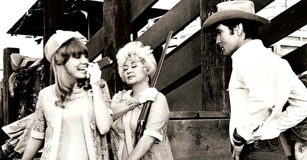 ステイ・アウェイ・ジョーの画像