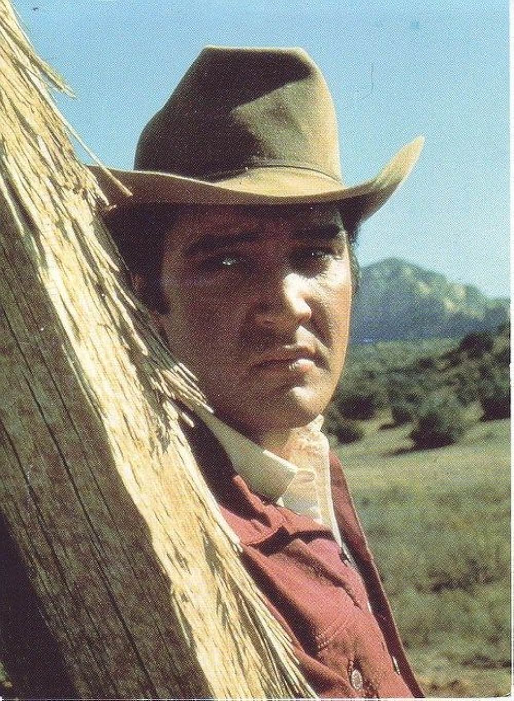 ステイ・アウェイ・ジョーの画像