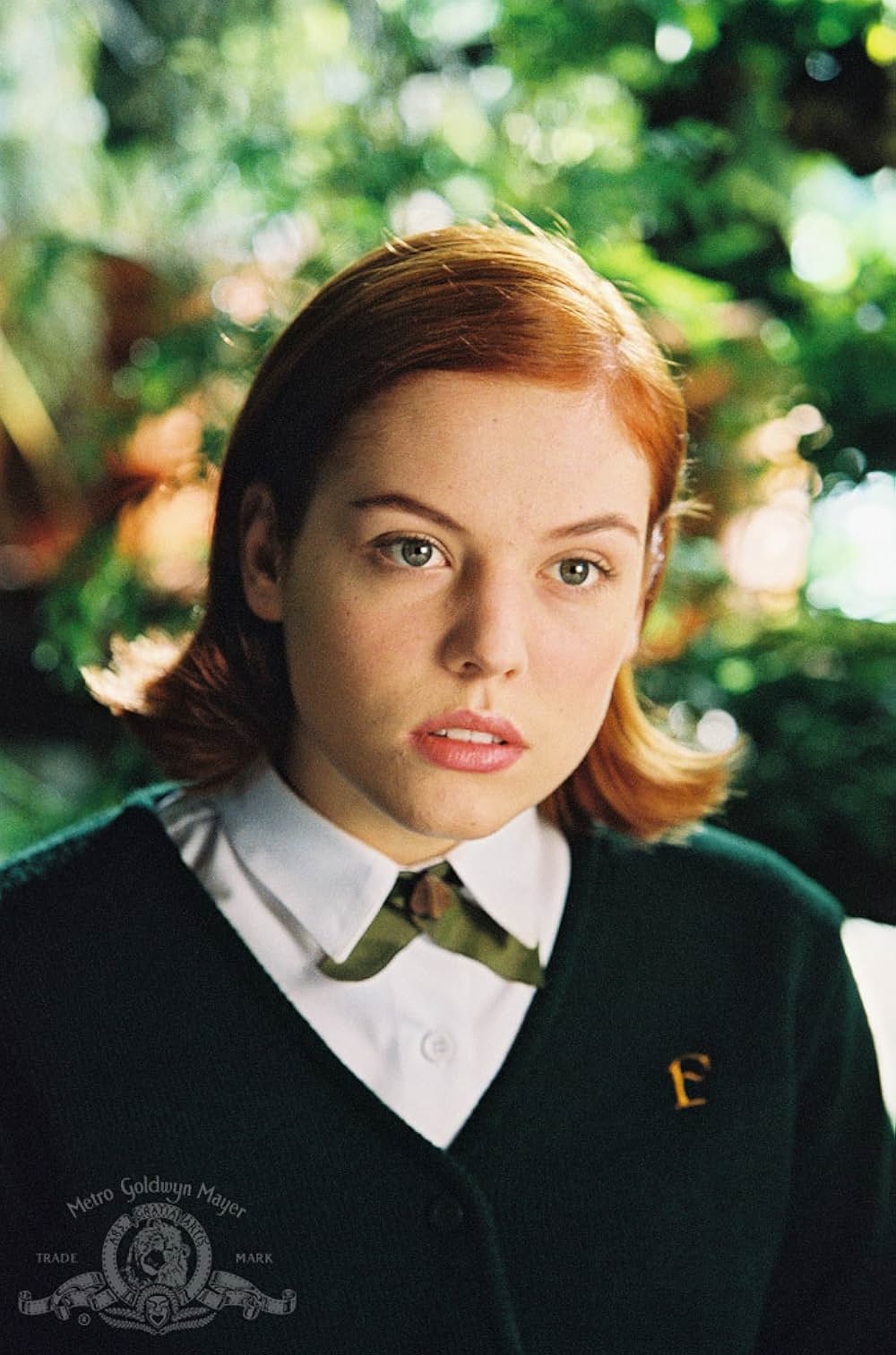 怨霊の森の画像