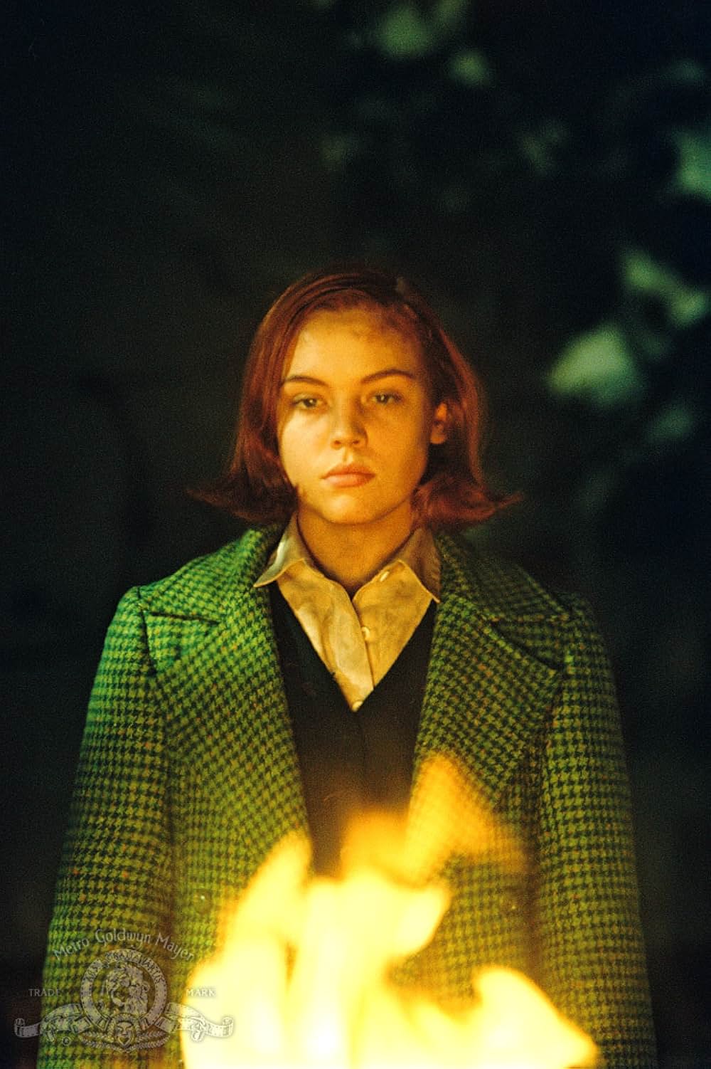 怨霊の森の画像