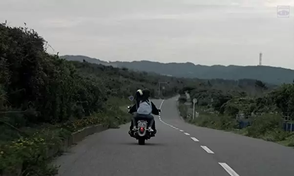 寝ても覚めてもの画像