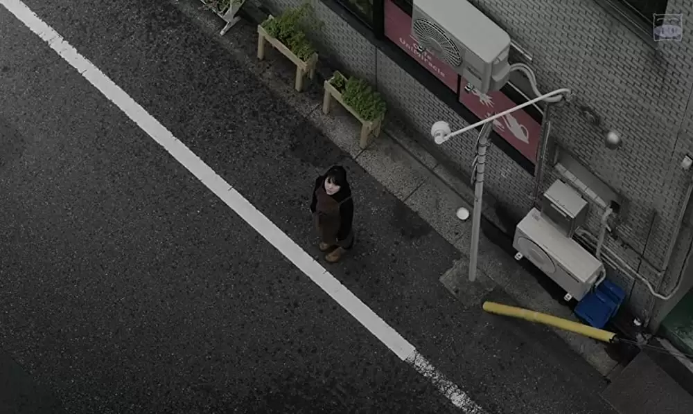 寝ても覚めてもの画像