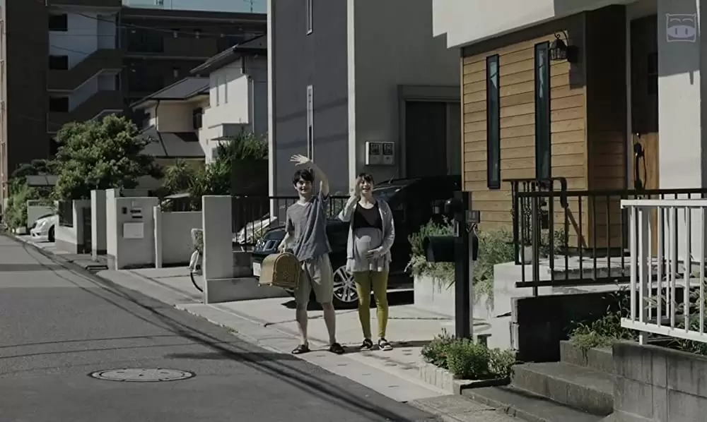 寝ても覚めてもの画像