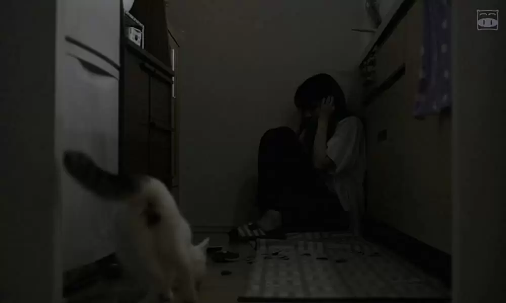 寝ても覚めてもの画像