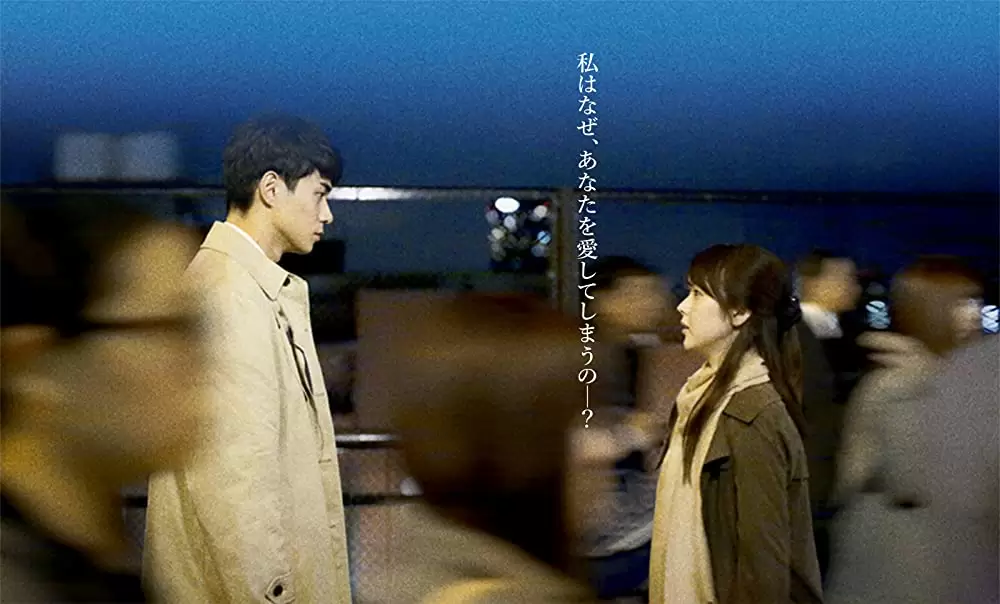 寝ても覚めてもの画像