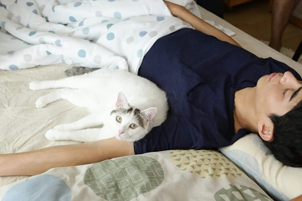 寝ても覚めてもの画像