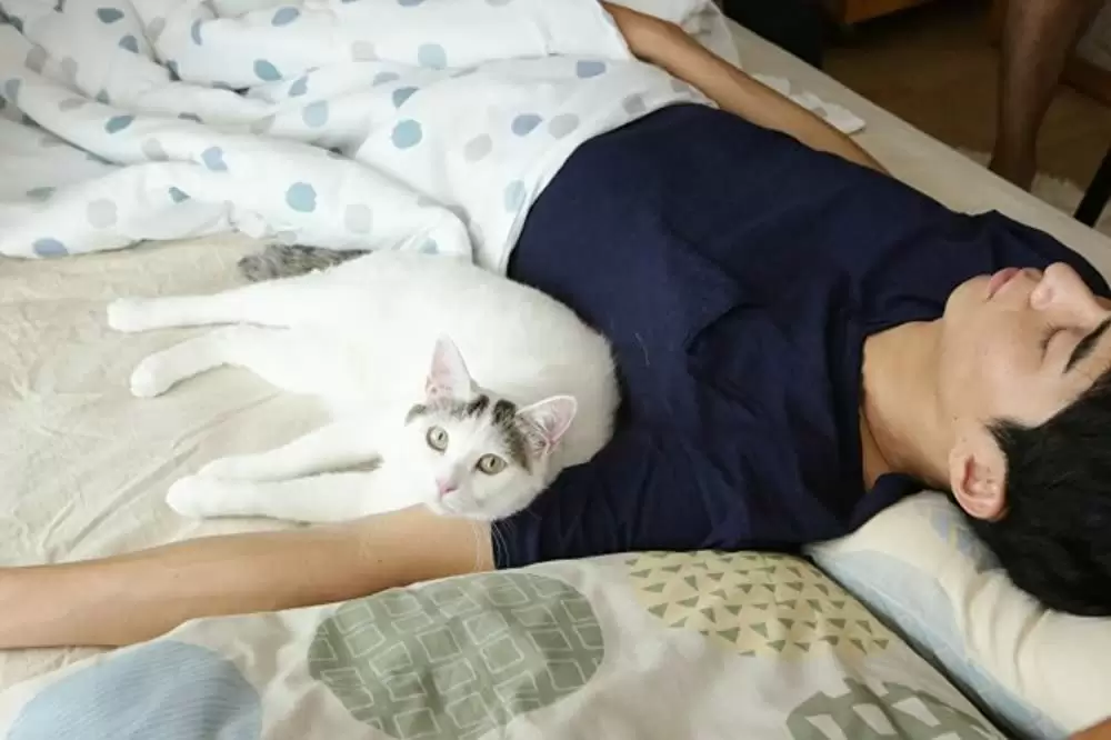 「寝ても覚めても」東出昌大の画像