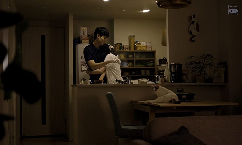 寝ても覚めてもの画像