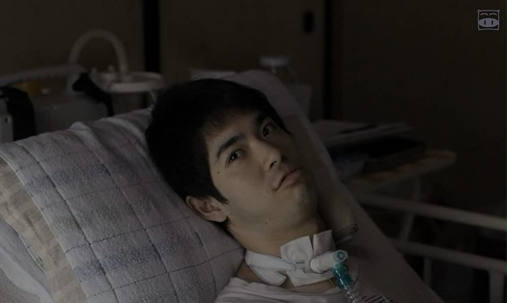 寝ても覚めてもの画像