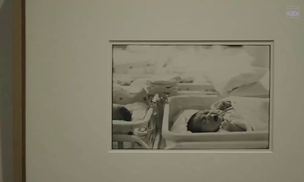 寝ても覚めてもの画像