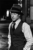 スティングの画像