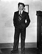 スティングの画像