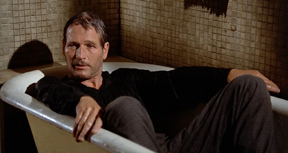 スティングの画像