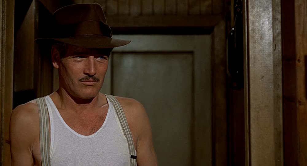 スティングの画像