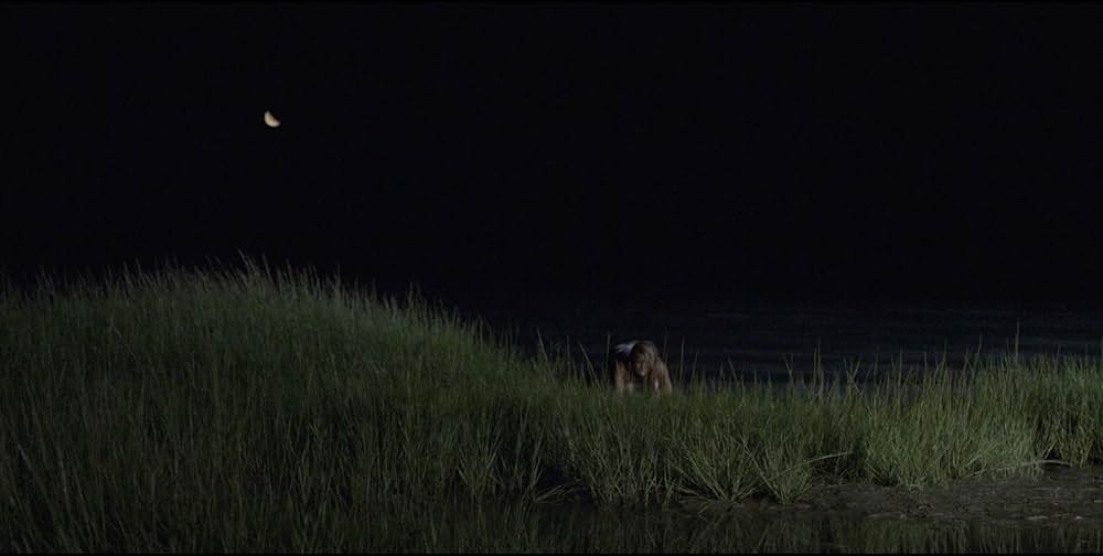 オープンウォーター・サバイバルの画像